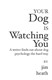 Your Dog is Watching You