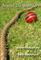 Beyond The Boundary 