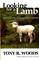 Looking for a Lamb (Hardback)