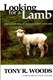 Looking for a Lamb (Hardback)
